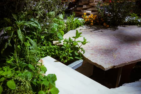 Live Kitchen — Francisca Sotto & Jeremy Morris